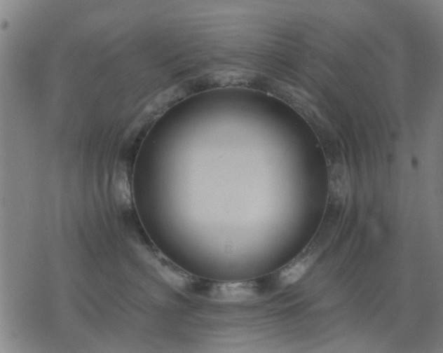 X0000076350622200610061527