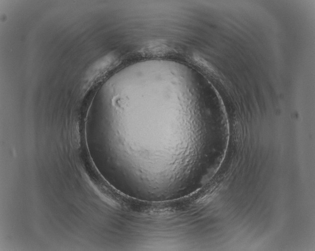 X0000076350638200610061527