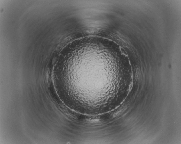 X0000076350651200610061527