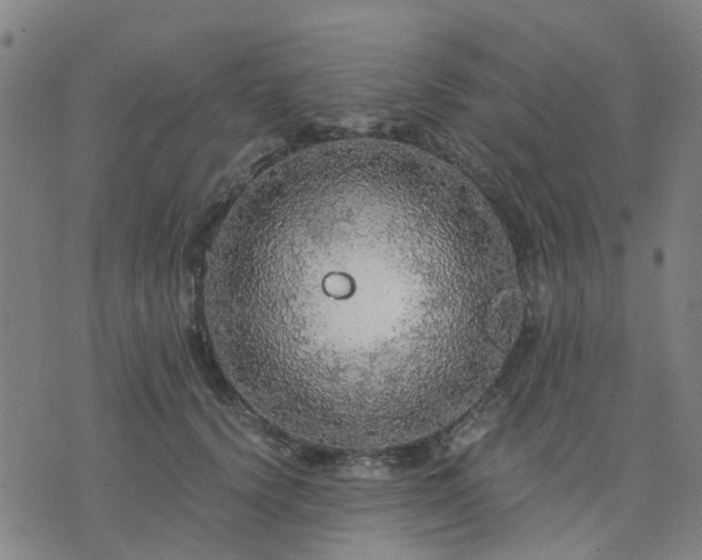 X0000076350656200610061527