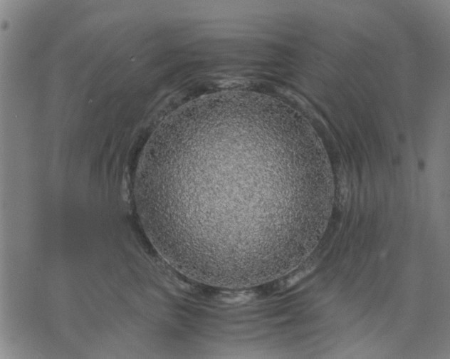 X0000076350667200610061527