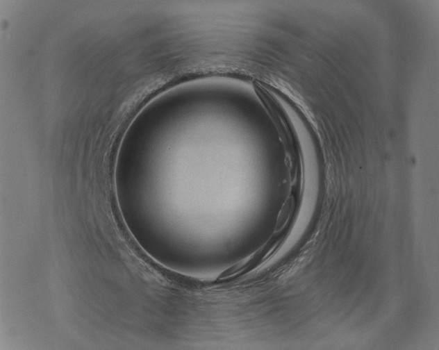 X0000076350673200610061526
