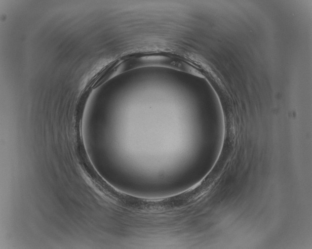 X0000076350677200610061526