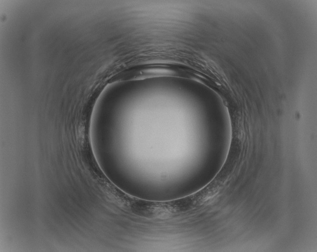 X0000076350697200610061526