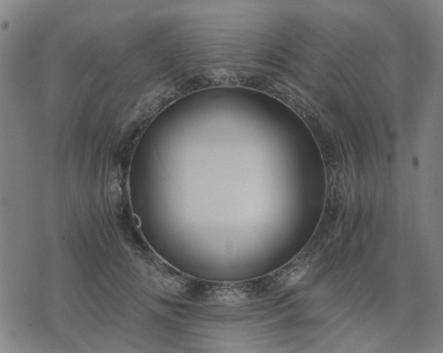 X0000076350702200610061526