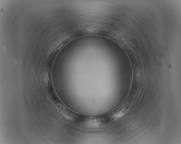 X0000076350746200610061525
