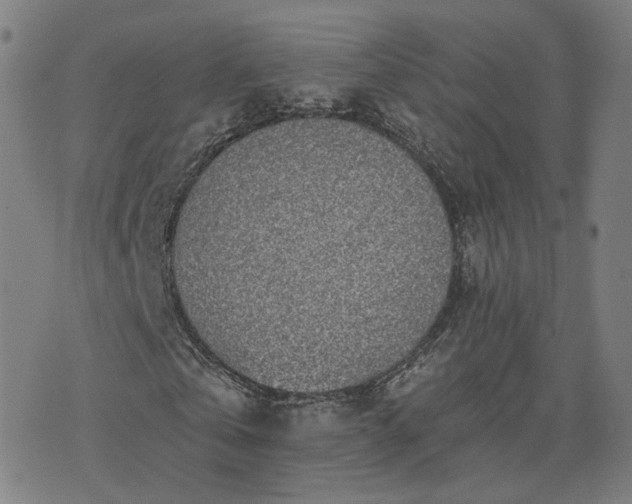X0000076350769200610061525