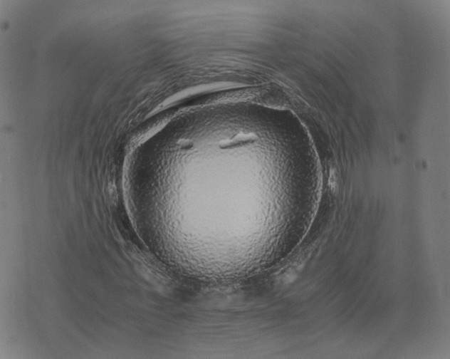 X0000076350771200610061525