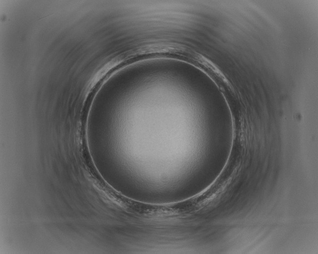 X0000076350786200610061525