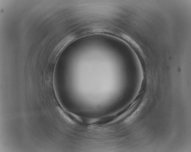 X0000076350801200610061524
