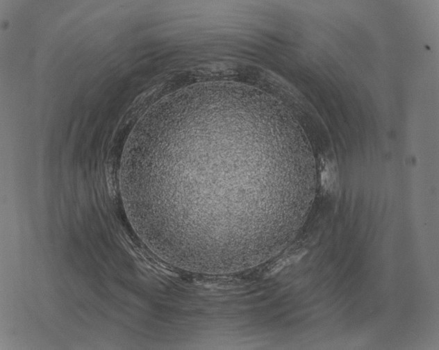 X0000076350819200610061523