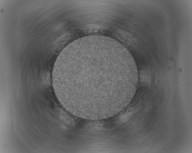 X0000076350820200610061523