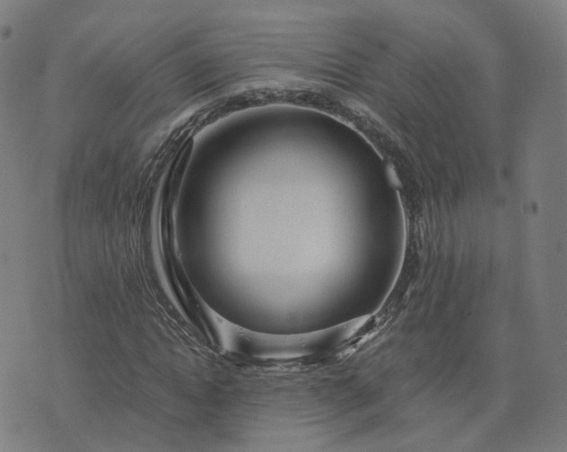 X0000076350822200610061523