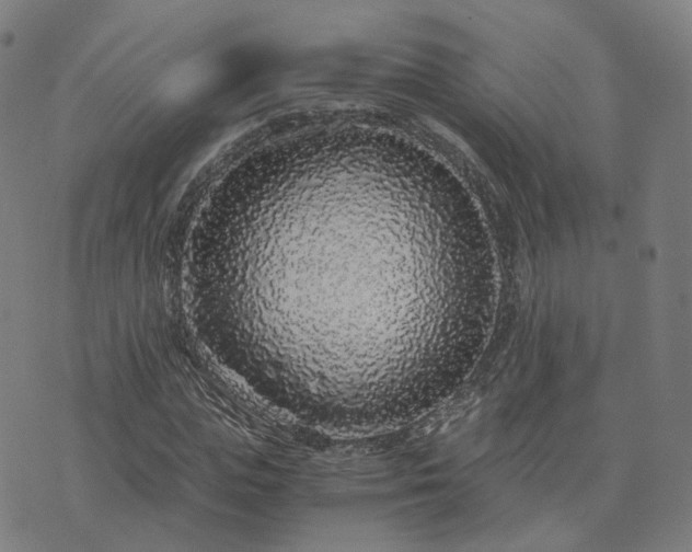 X0000076350823200610061523