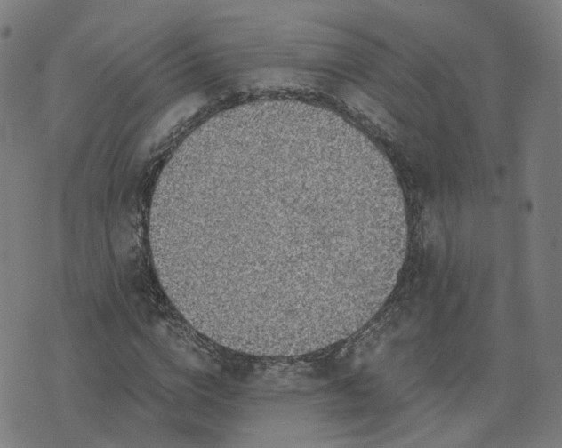 X0000076350824200610061523