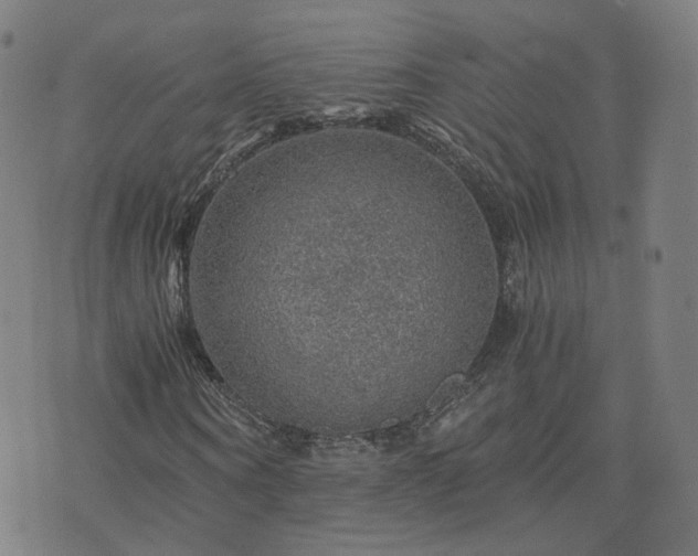 X0000076350866200610061523