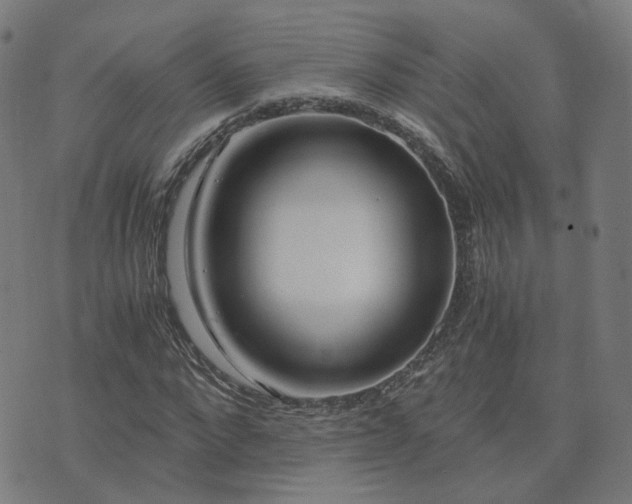 X0000076350872200610061523