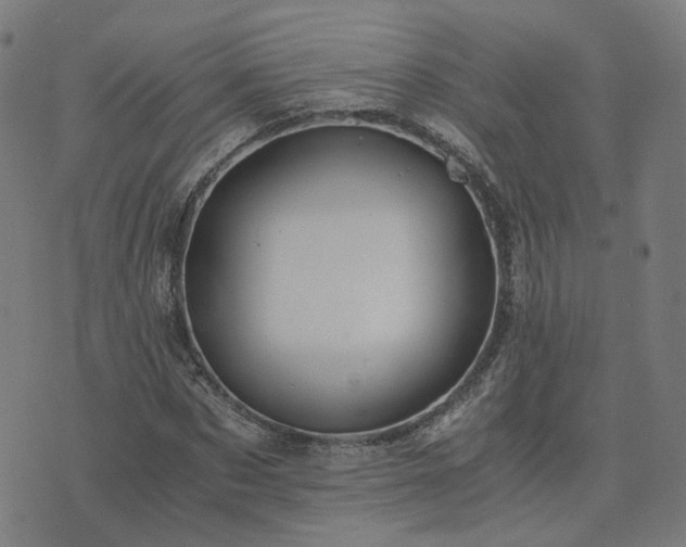 X0000076350873200610061523