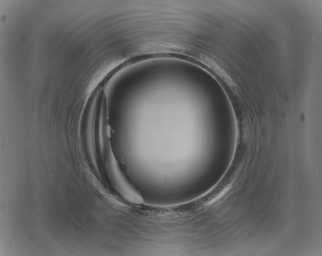 X0000076350885200610061523