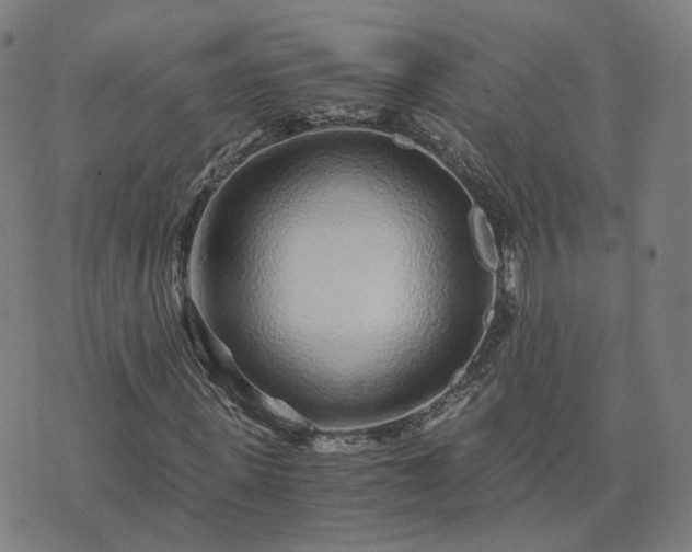 X0000076350915200610061522