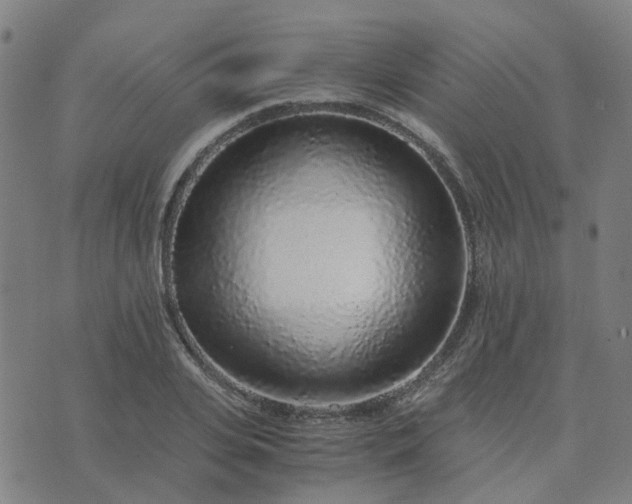 X0000076350935200610061522
