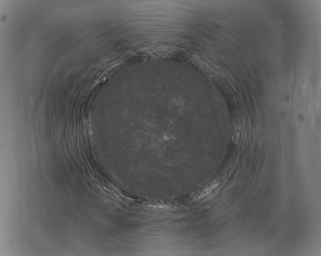 X0000076351010200610061520
