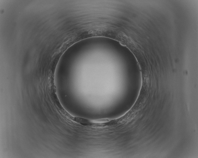 X0000076351012200610061520
