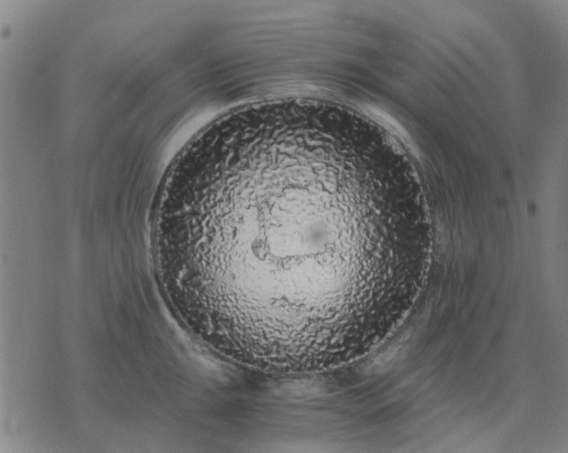 X0000076351047200610061521