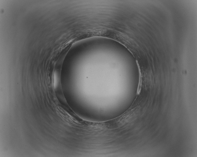 X0000076351058200610061520