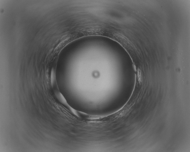 X0000076351107200610061519