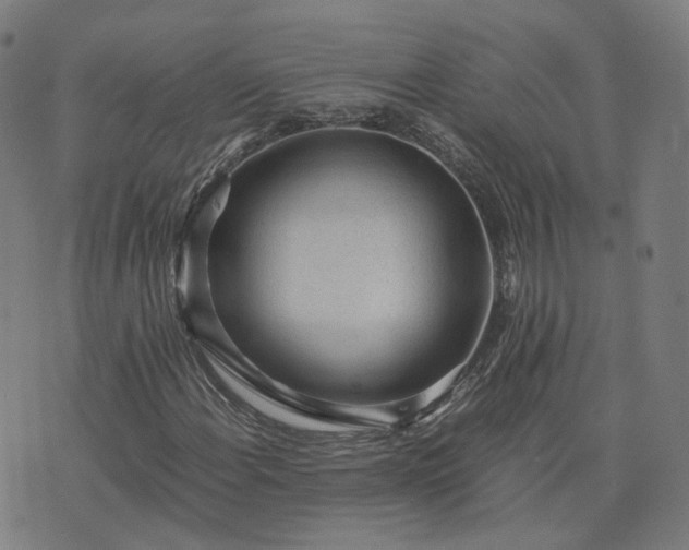 X0000076351108200610061519