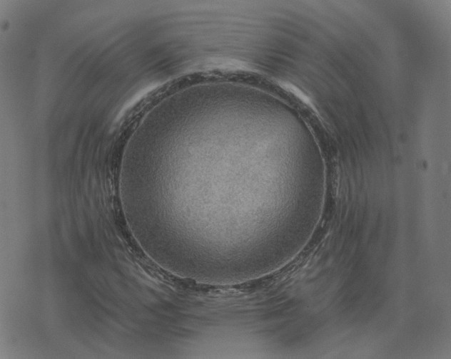 X0000076351112200610061519