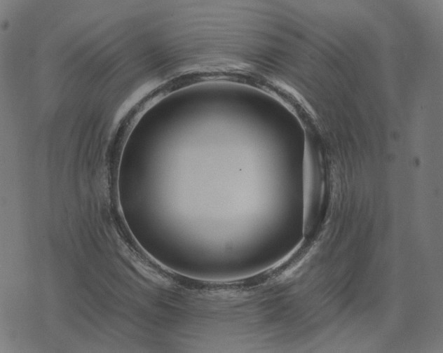 X0000076351114200610061519