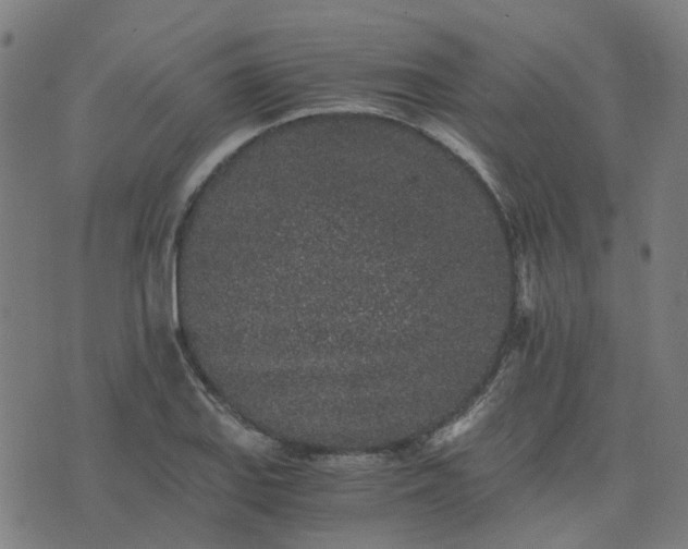 X0000076351127200610061519