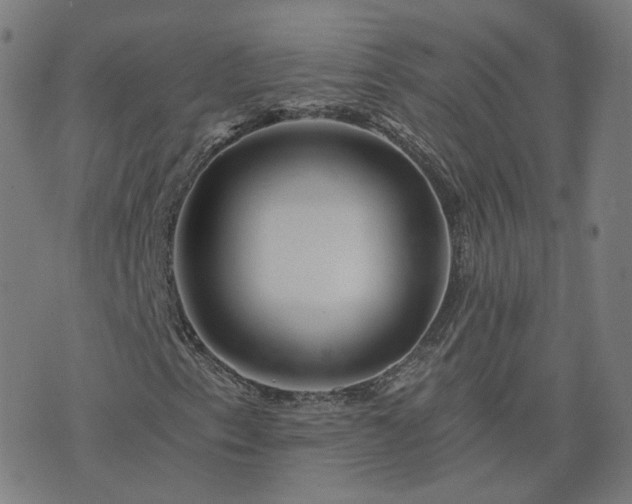 X0000076351153200610061519