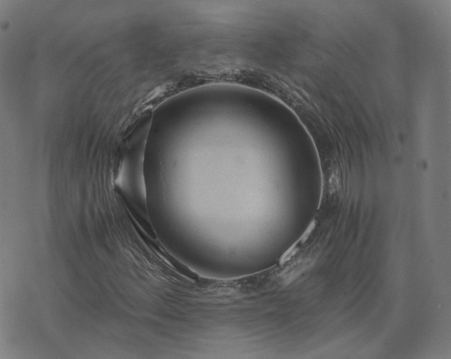 X0000076351156200610061519