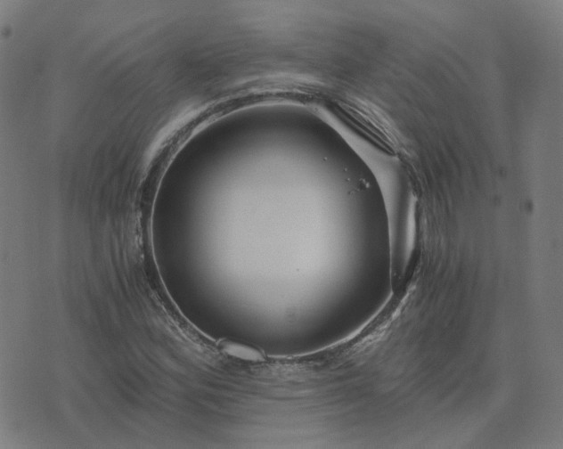 X0000076351164200610061518