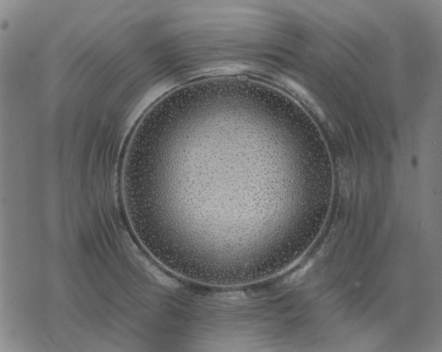 X0000076351186200610061518