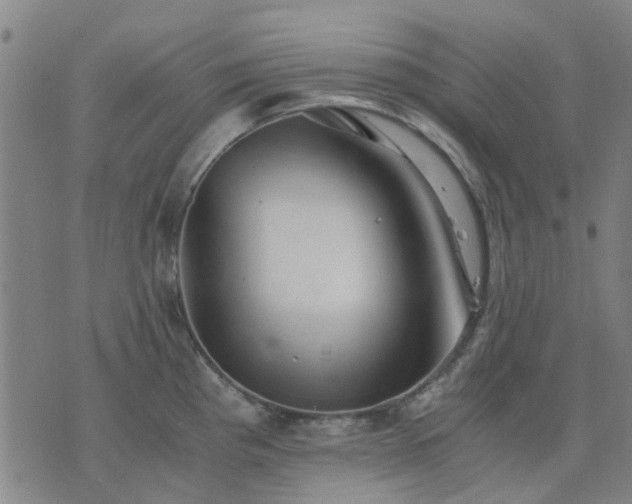 X0000076351193200610061518