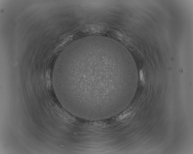 X0000076351203200610061517