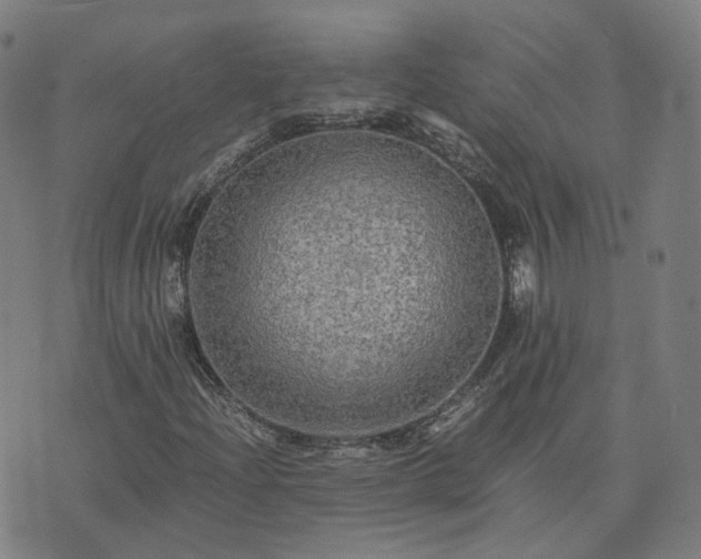 X0000076351204200610061517