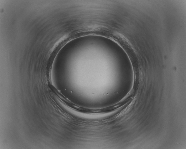 X0000076351210200610061517