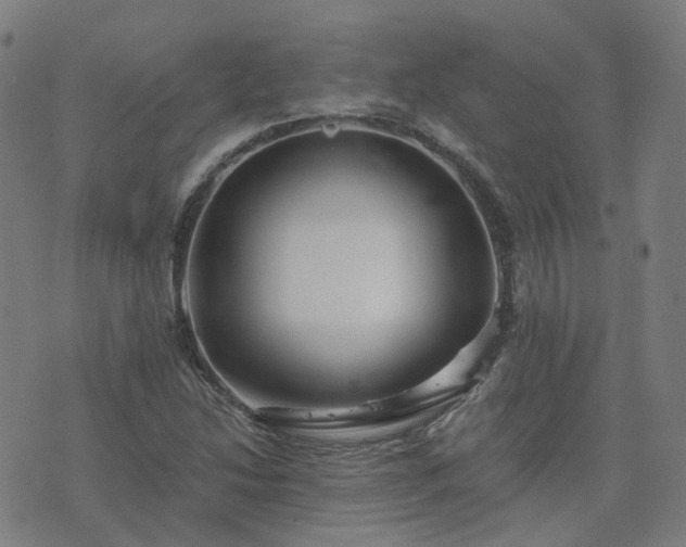 X0000076351214200610061517