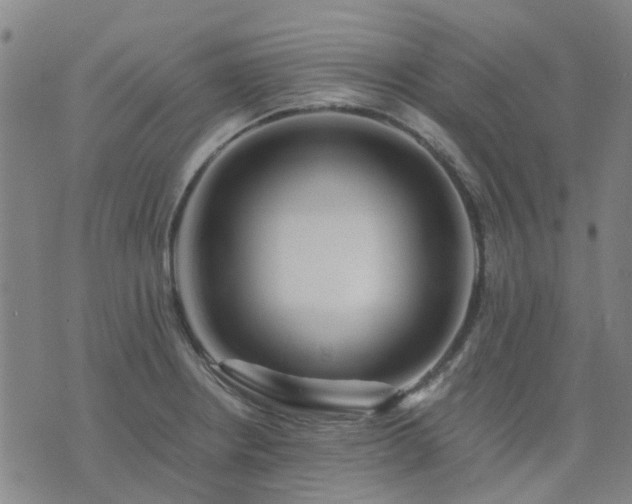 X0000076351234200610061518