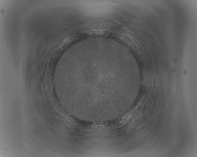 X0000076351297200610061515