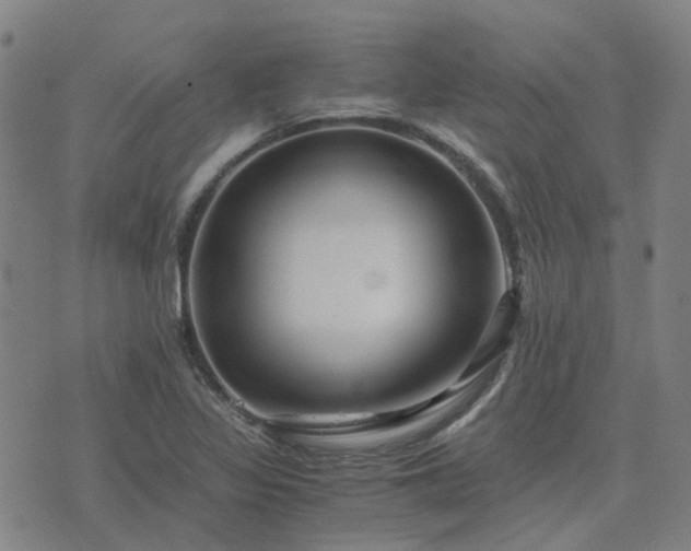 X0000076351317200610061516