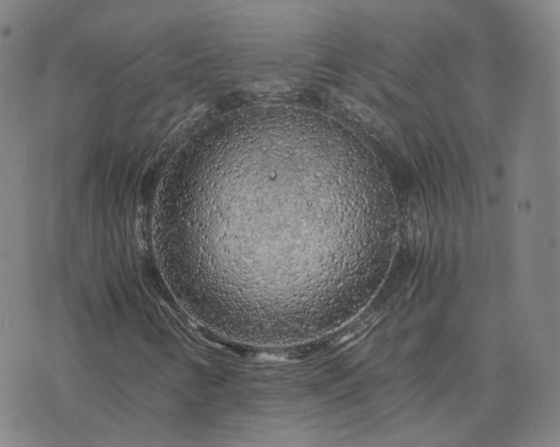 X0000076351346200610061515