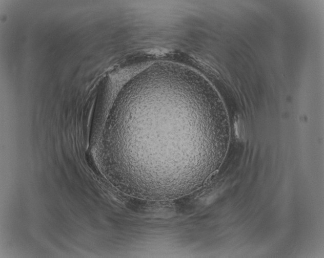 X0000076351347200610061515