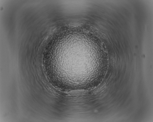 X0000076351393200610061514