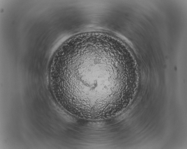X0000076351415200610061514
